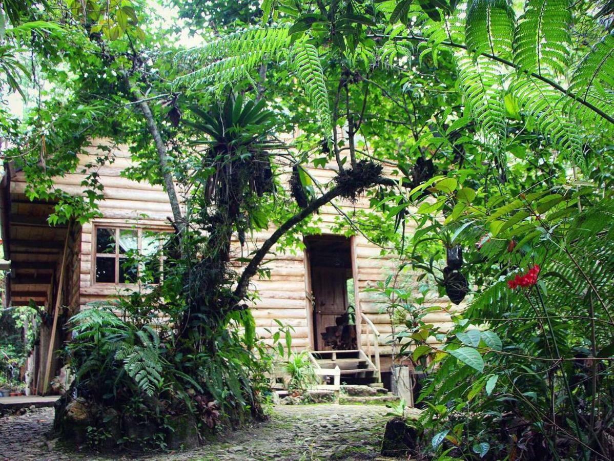Chijou Paraiso Verde מראה חיצוני תמונה